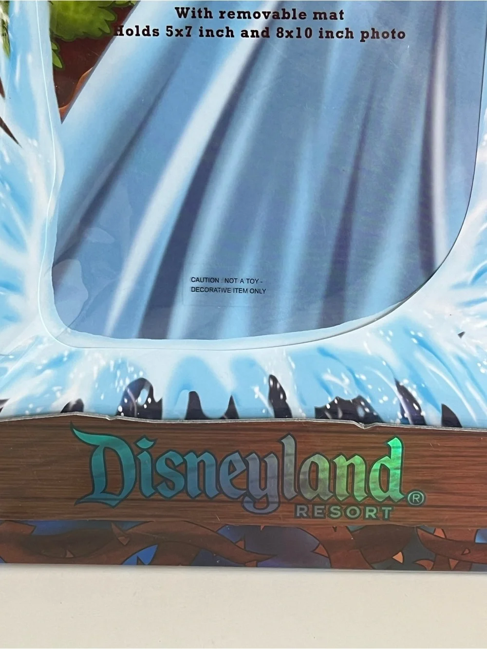 Vintage Magic Kingdom Disneyland Resort Splash Mountain Picture Frame 5x7” 8x10”